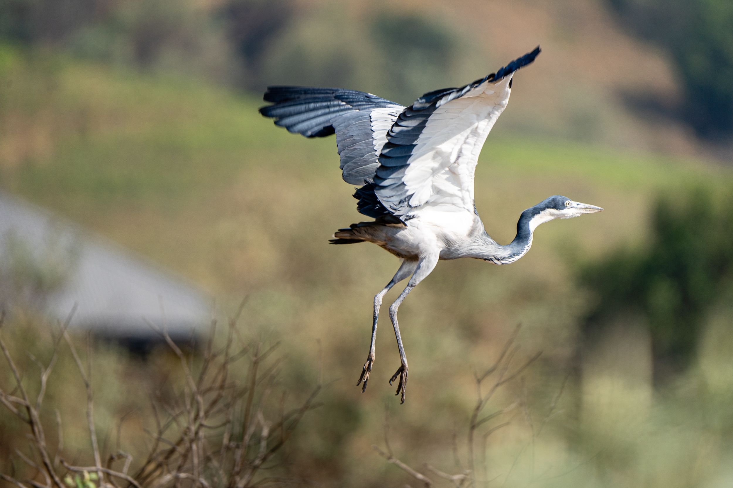 20230919 091746 Fotobuch Südafrika 03513